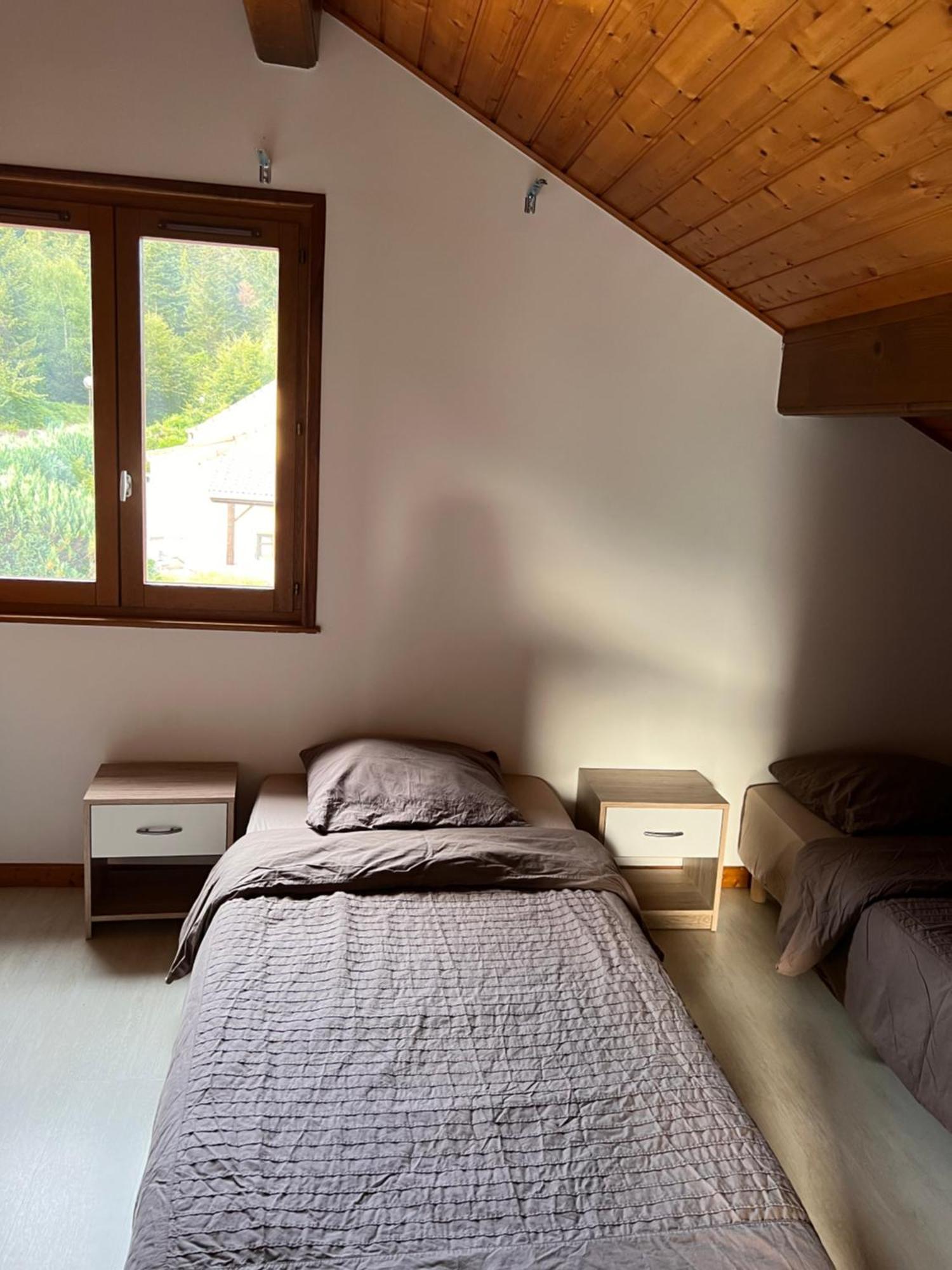Maison Proche Du Centre De Gerardmer Villa Luaran gambar